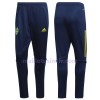 Suède Ensemble Sweat d'entrainement 2020-21 V001